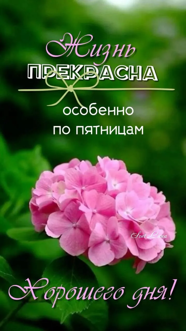 Ставьте ❤️, если понравилась открытка

Открытки - Подписывайтесь!