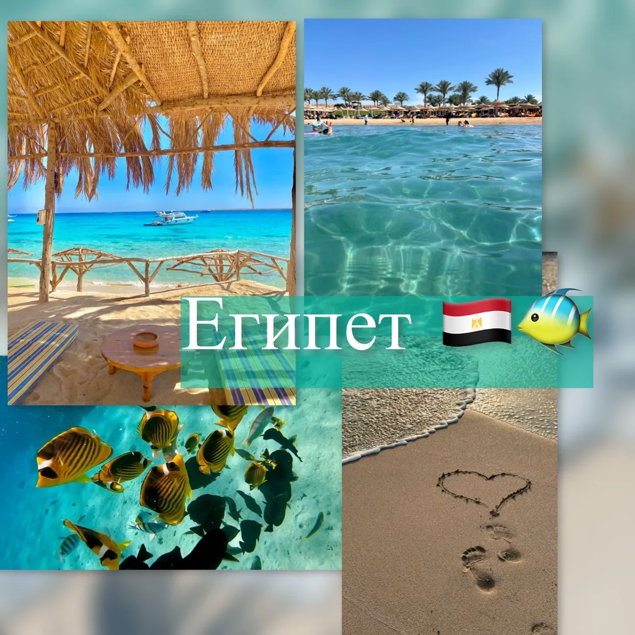 Подборка популярных отелей Египта для тех кому не надо идти в школу😎☀️
