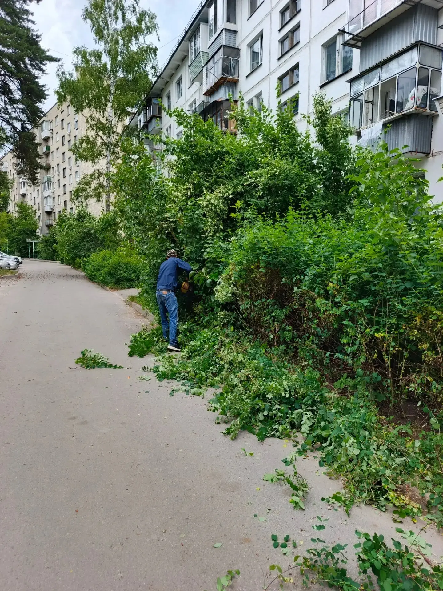 Провели обрезку кустов, поросли на ул. Московская, 9, 11, 13, ул. Маслова, 3.
Уважаемые жители! Вы м