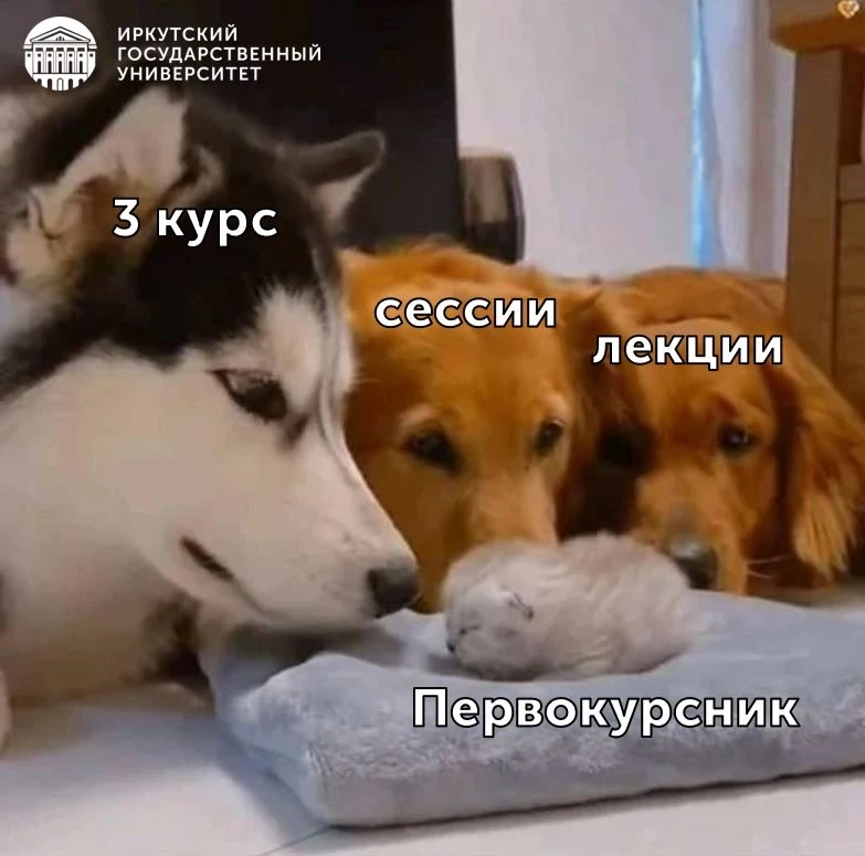 ⭐ Когда начал учебу в Иркутском государственном университете и каждый обратил внимание ...