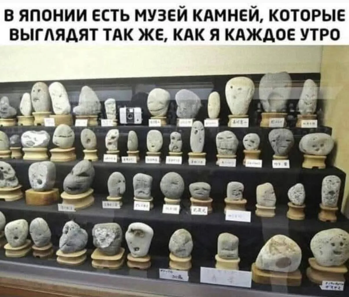 )))))))
