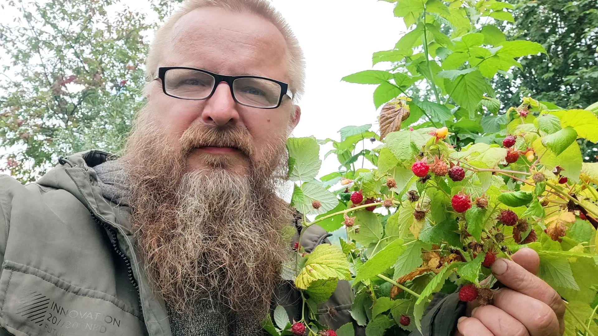 😍 Малина начала созревать и в Спасском.