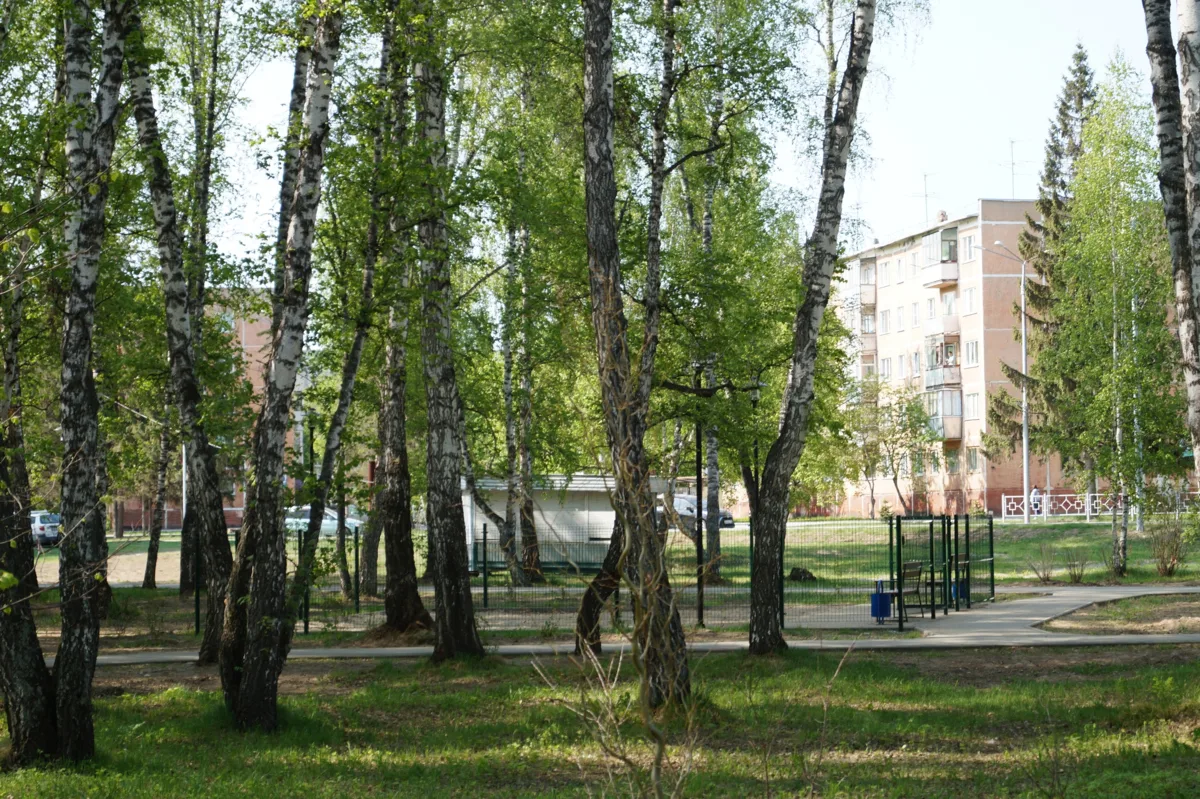 В Бердске мужчина выстрелил в воздух из пистолета в парковой зоне
