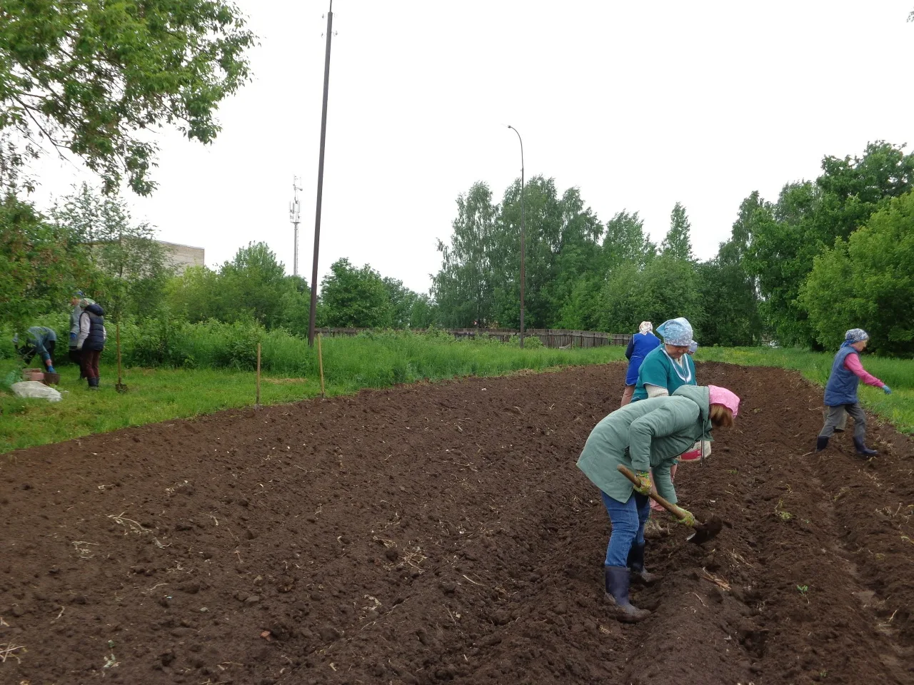 Трудовой десант в деле!🌱