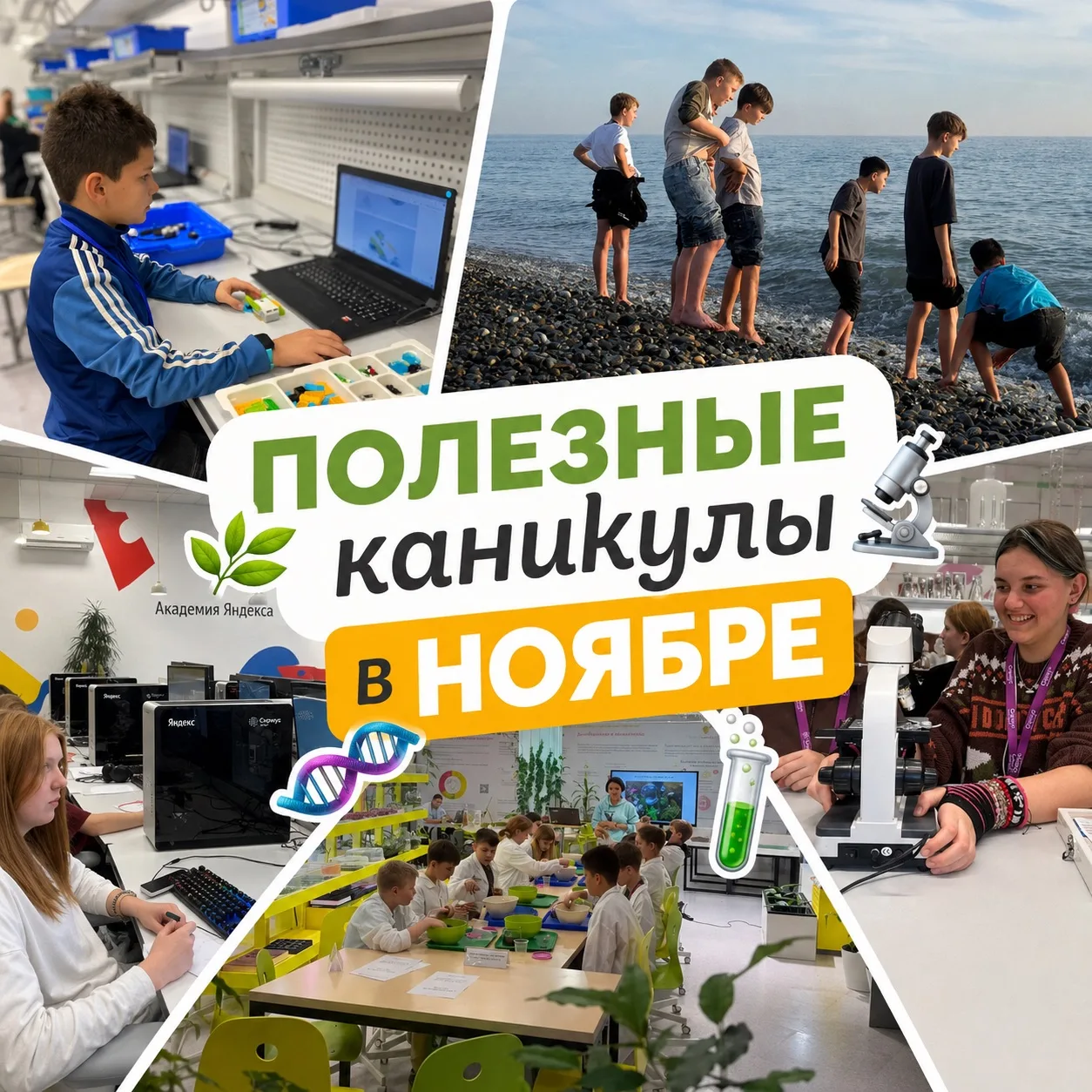 🌿🧬 ПОЛЕЗНЫЕ КАНИКУЛЫ В НОЯБРЕ!