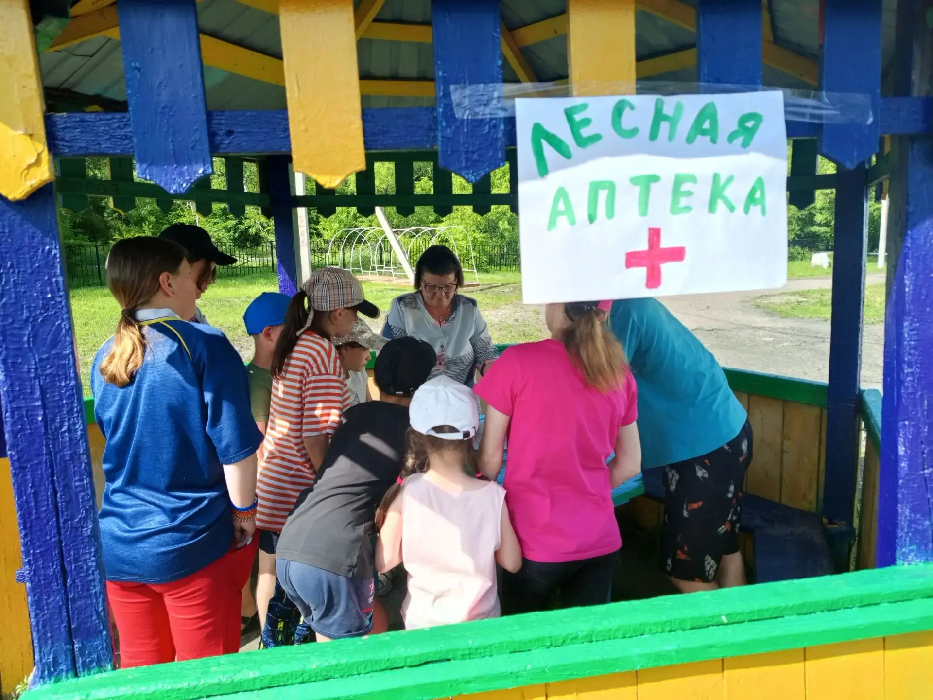 Сегодня на каникулах прошёл квест‑игра «Природа открывает секреты» — команды разгадывали загадки, ис