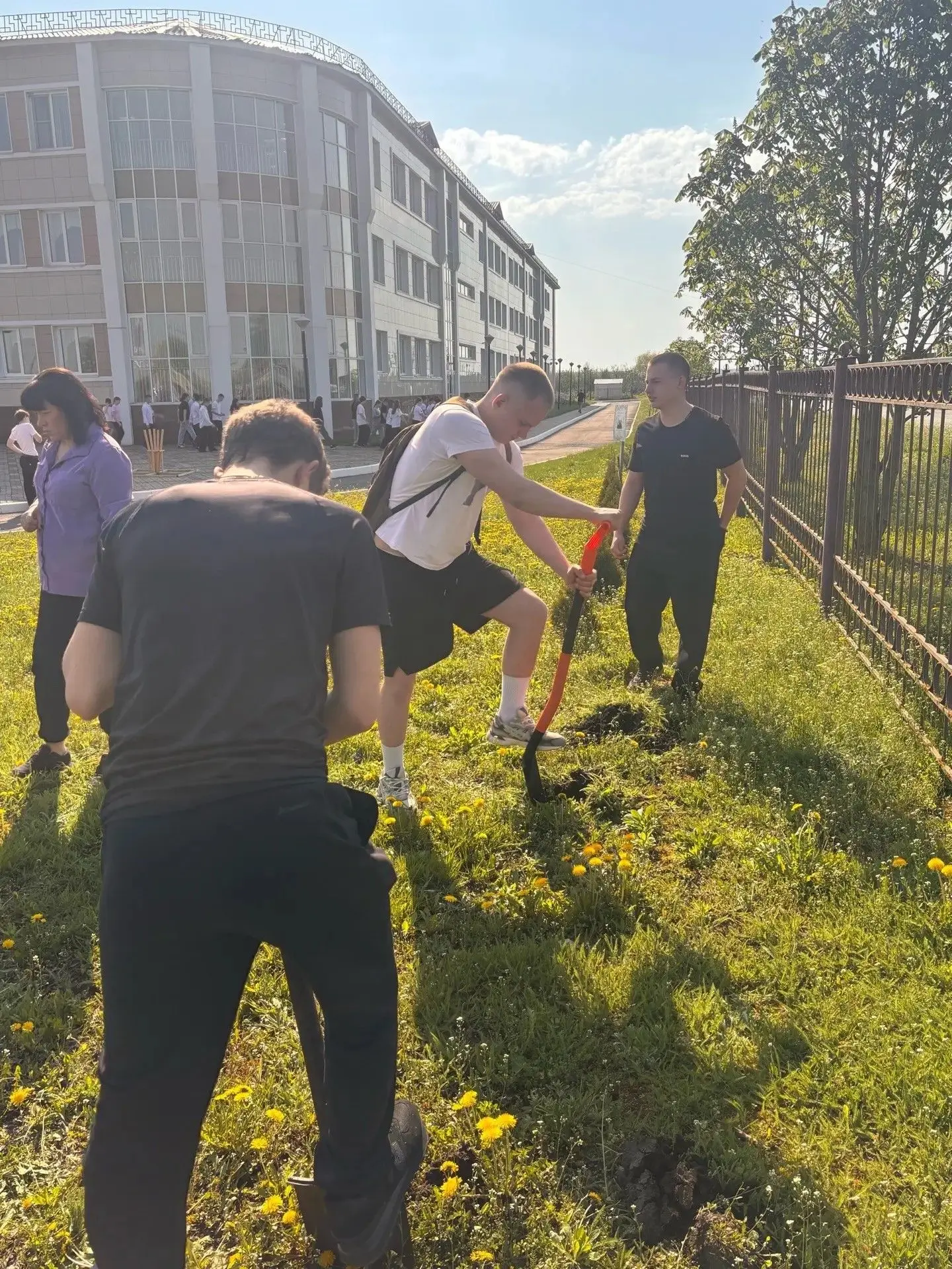 7 мая будущие выпускники нашей школы  продолжили прекрасную традицию по высаживанию деревьев туи на 