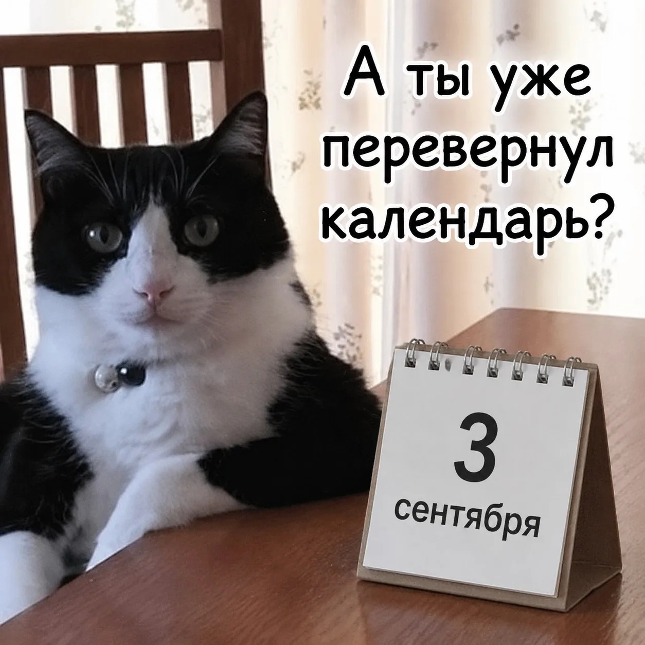 🍂🎶 И снова трееетье сентябряяяя…
