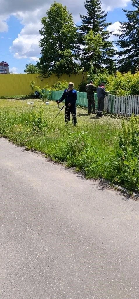 Сотрудники Краснослободского территориального лесничества привели в порядок территорию вокруг админи