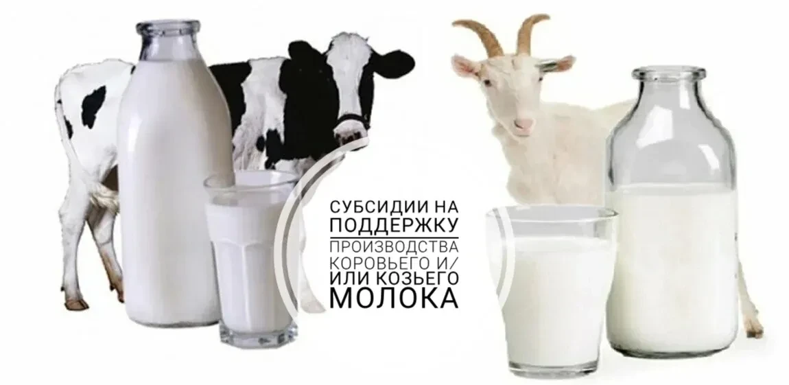 ОБЪЯВЛЕНИЕ О ПРОВЕДЕНИИ ОТБОРА ПОЛУЧАТЕЛЕЙ СУБСИДИИ