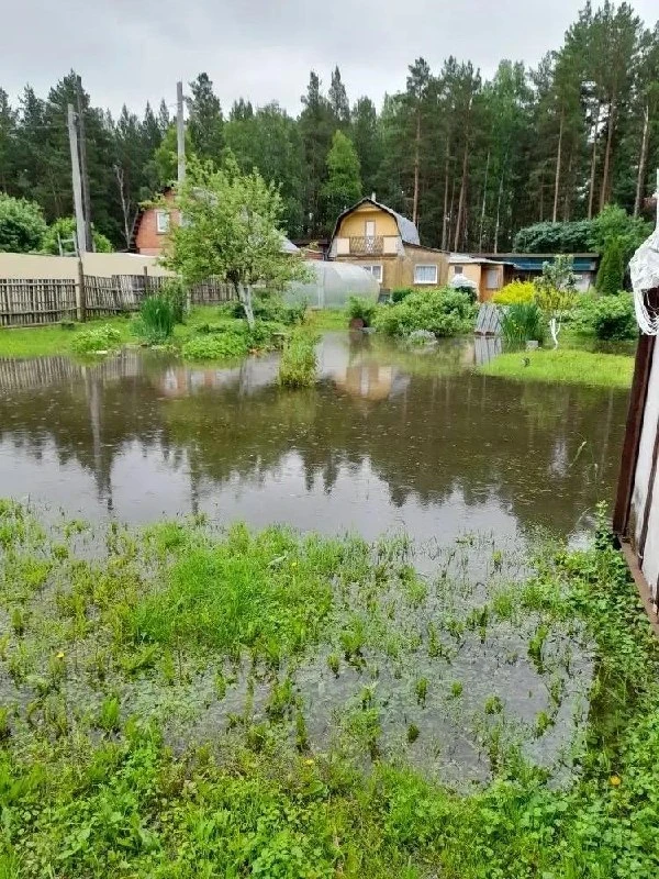 💬 Владельцы участков в СНТ «Родничок-2» в Миассе обратились к губернатору Челябинской области Алекс