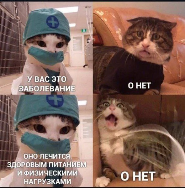 Мои дорогие, сегодня хочу поделиться с вами важным… шутками 😁 Неожиданно? 1 апреля же!  Вот такие ка