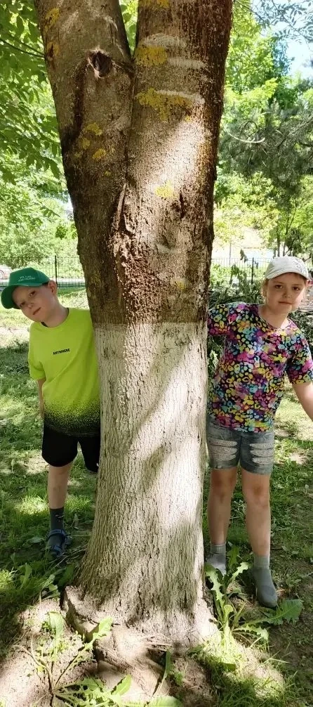 🍉🌞Еще один насыщенный и интересный день в летнем школьном лагере «Здоровейка»! Что в нем было?    