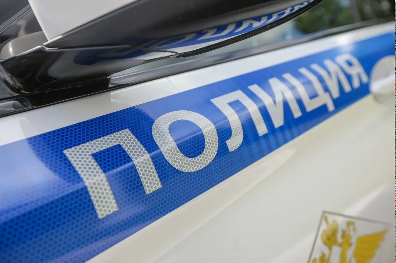 Полицейские Троицка задержали местного жителя, присвоившего чужой телефон