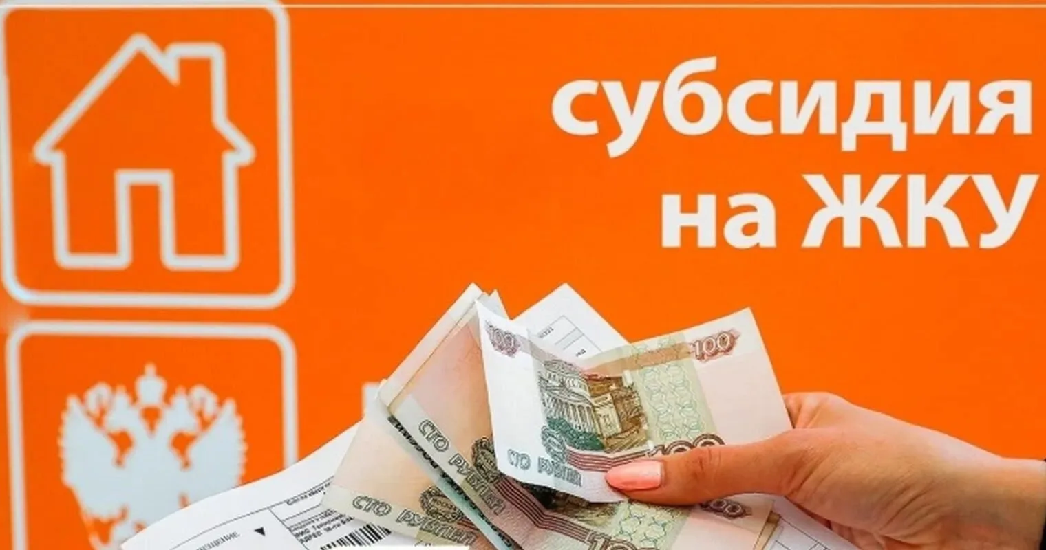 За 2025 год за назначением субсидии на оплату жилищных и коммунальных услуг в УСЗН Чеба...