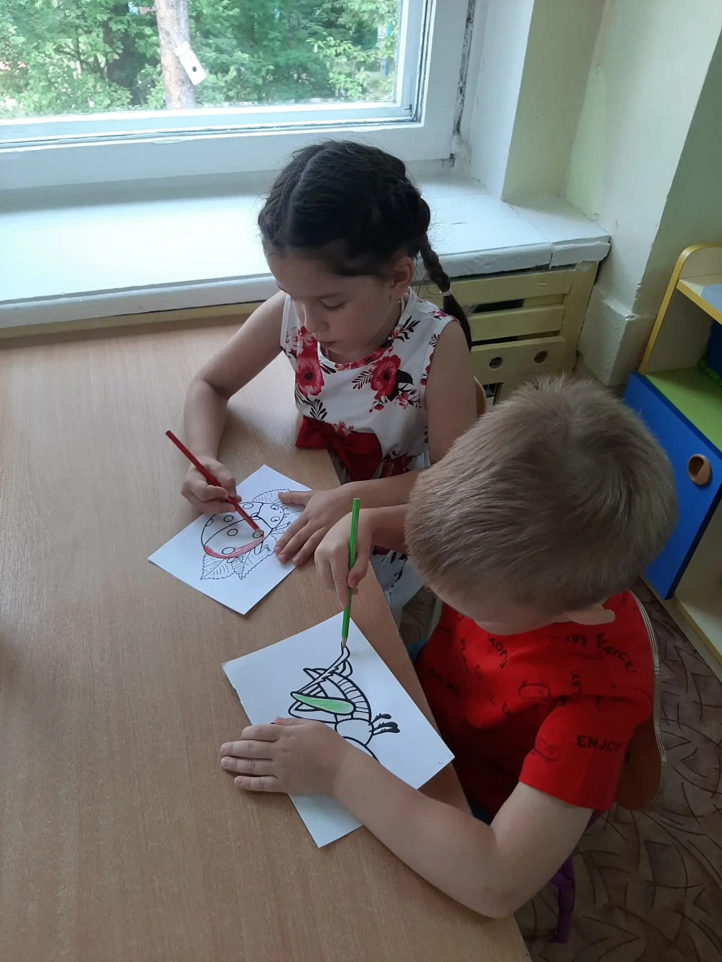 🐞Насекомых на дороге