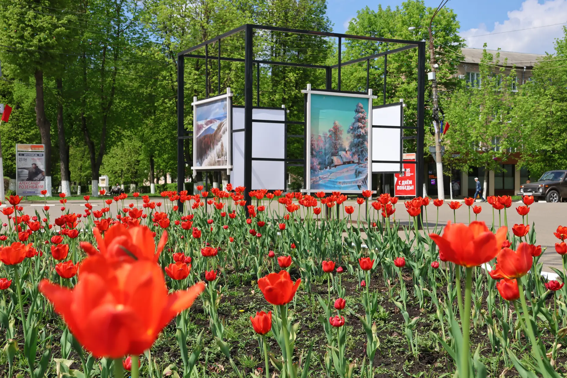 Новомосковск расцветает 😍  Тепло вернулось, а вместе с ним — вдохновение на прогулки. Успейте наслад