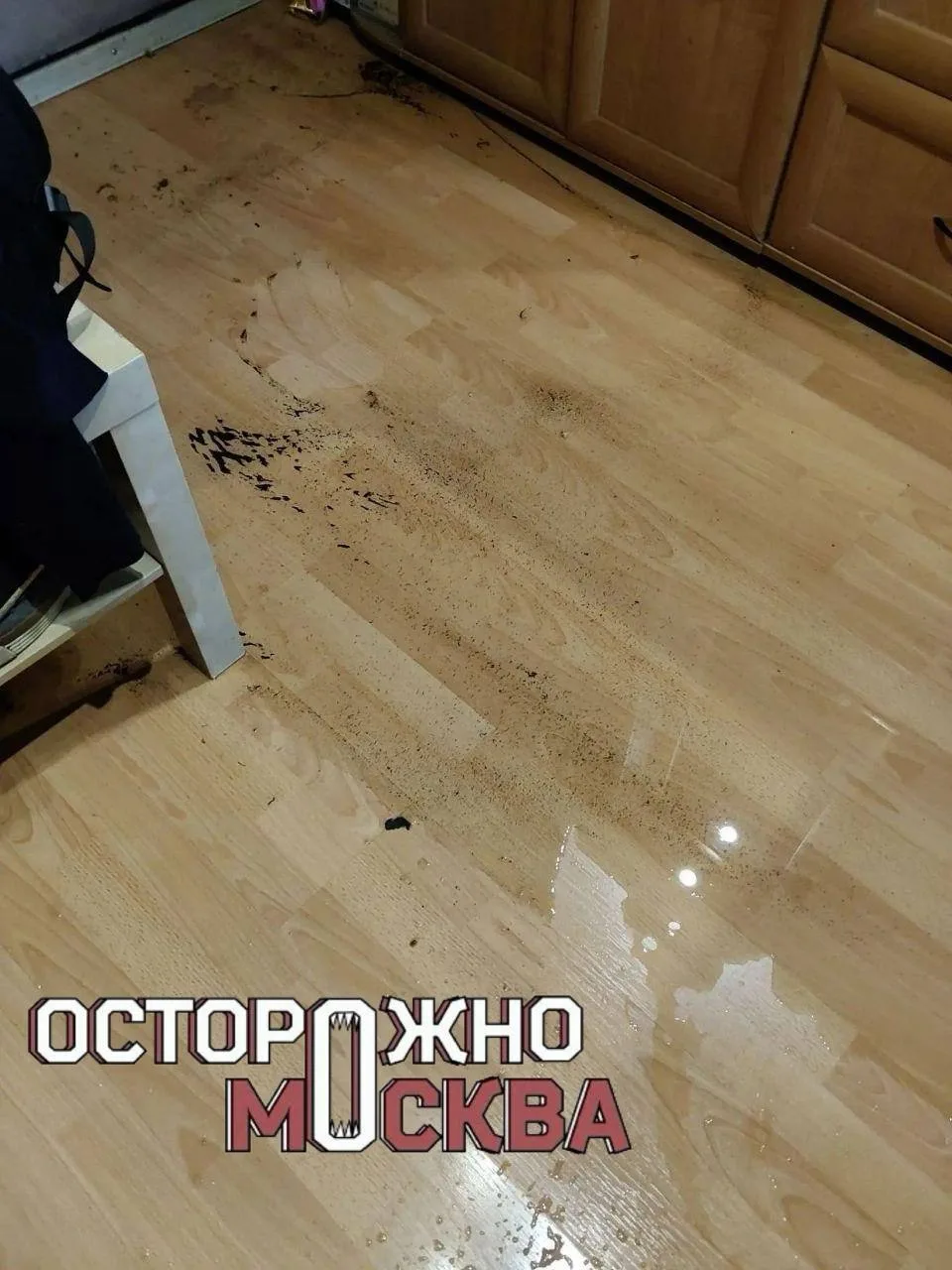 🌊 Потоп вместо тепла: в доме на Ленинградском проспекте прорвало систему отопления