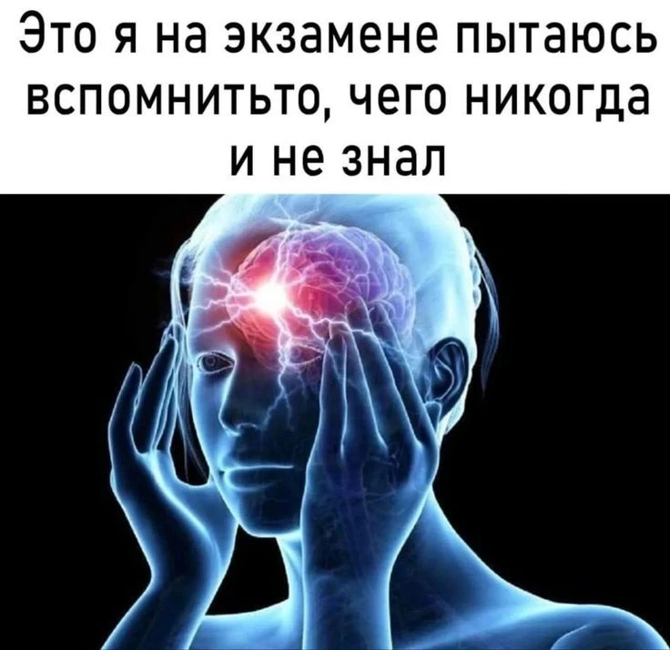 Изображение 1 к публикации «Биология»
