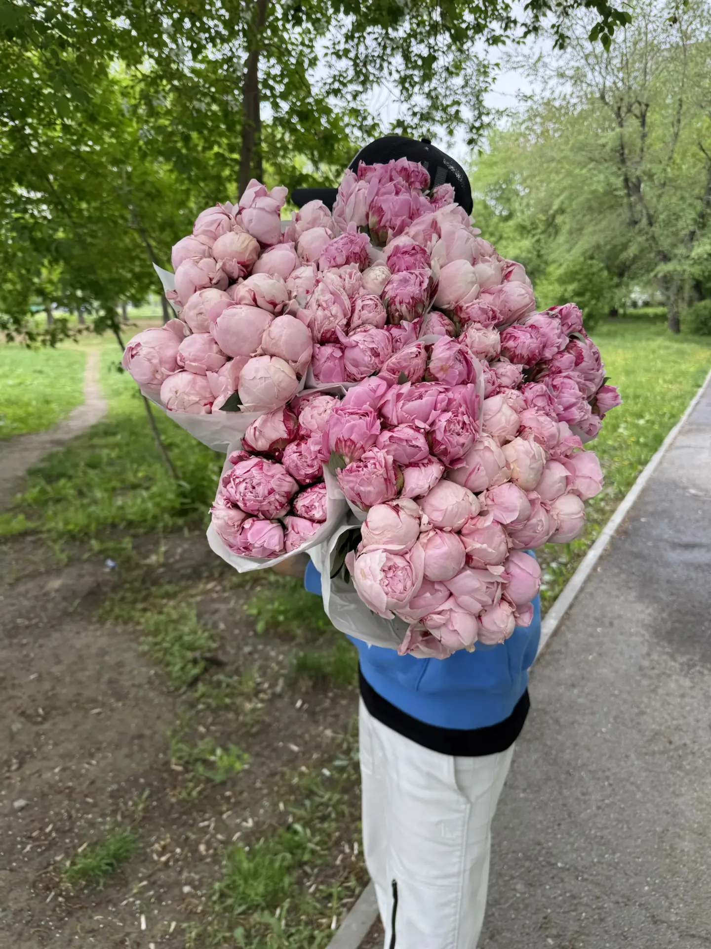 Прекрасные , свежие пионы