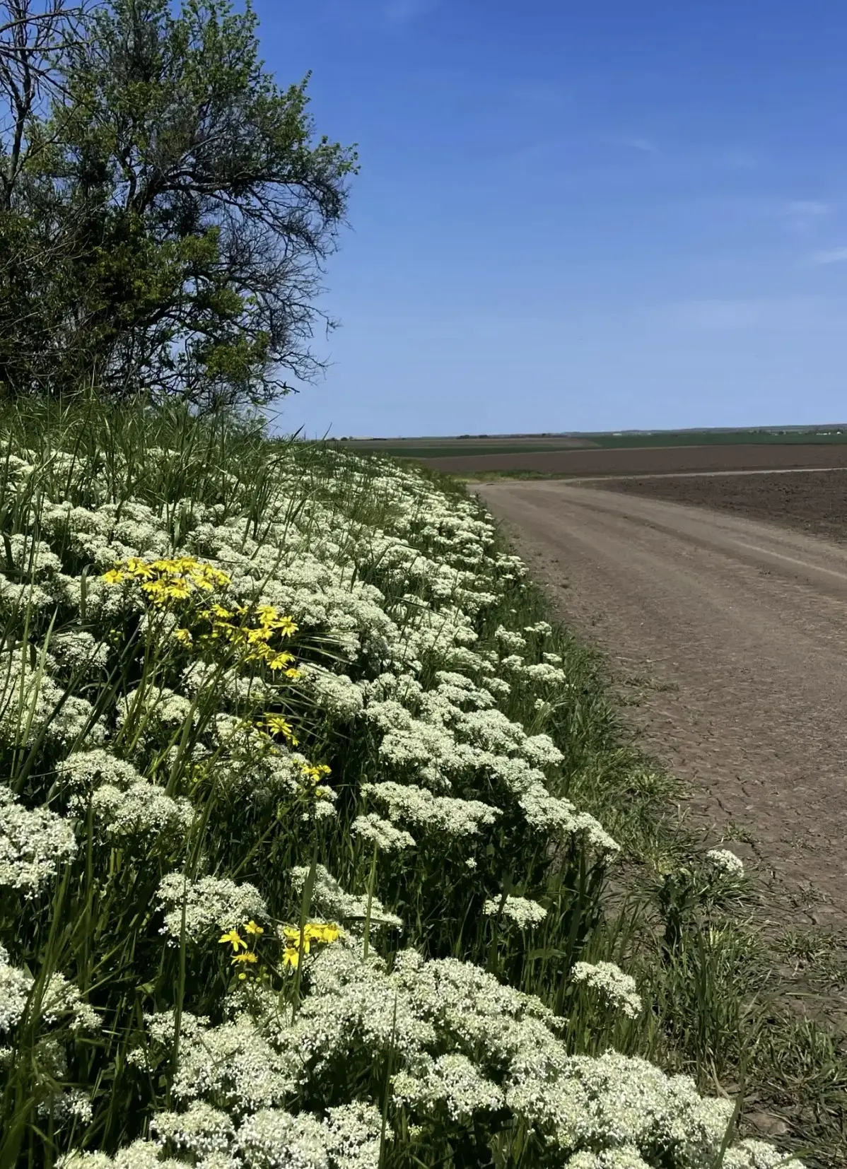 С добрым утром!☀️
Пусть новая рабочая неделя будет плодотворной, успешной и интересной!