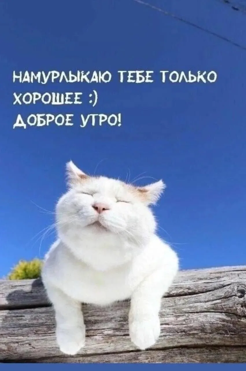 👉 Открытки в MAX – подписывайтесь
