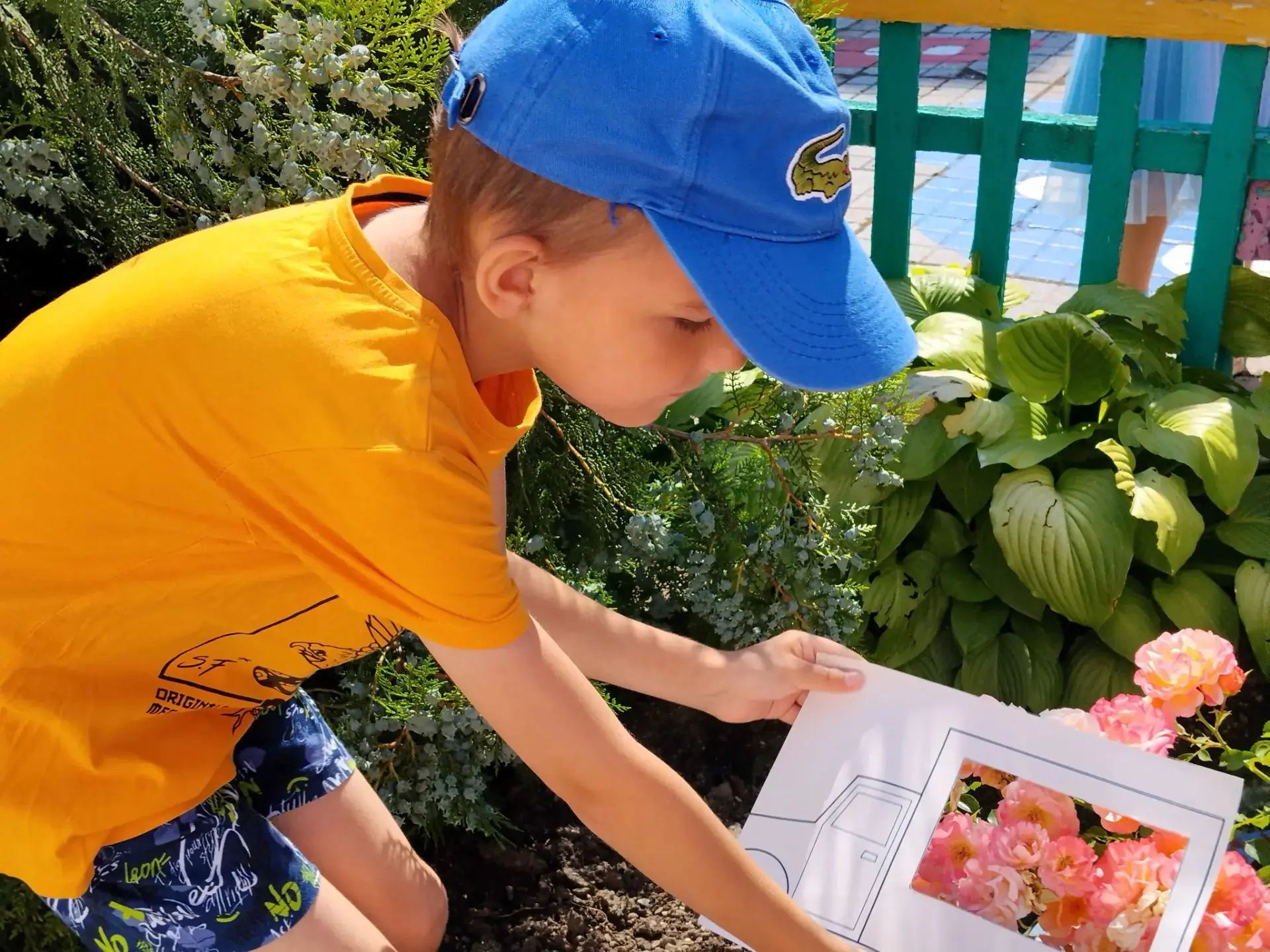 Сегодня ребята старшей грруппы провели необычное наблюдение за природой – через трафарет!
Как оказал