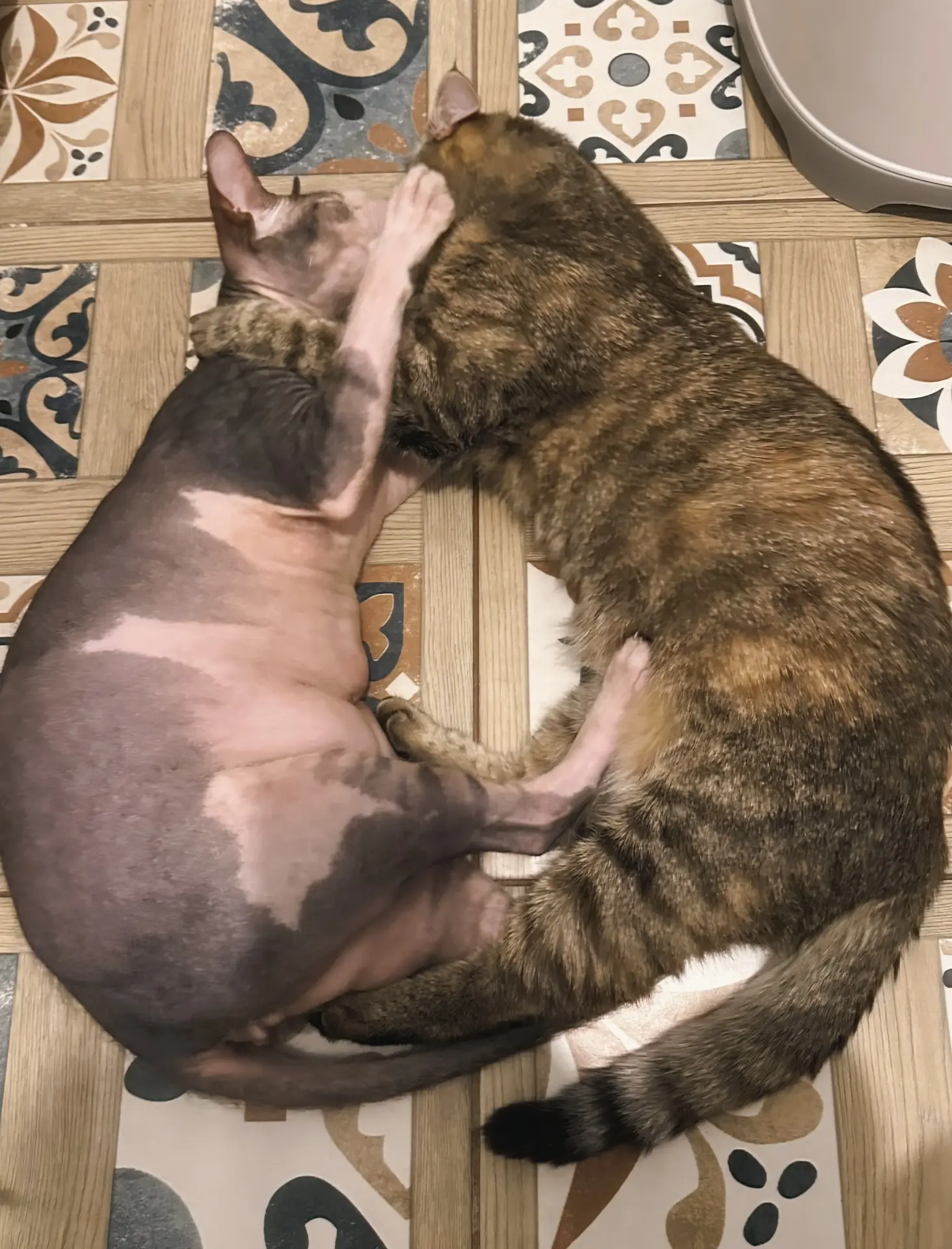 ❤️