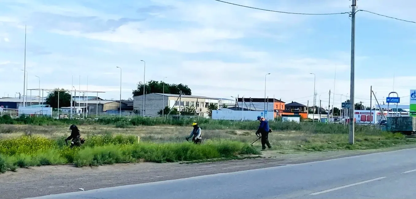 В Трусовском районе согласно графику ведутся работы по скосу сорной растительности. Зачищены участки