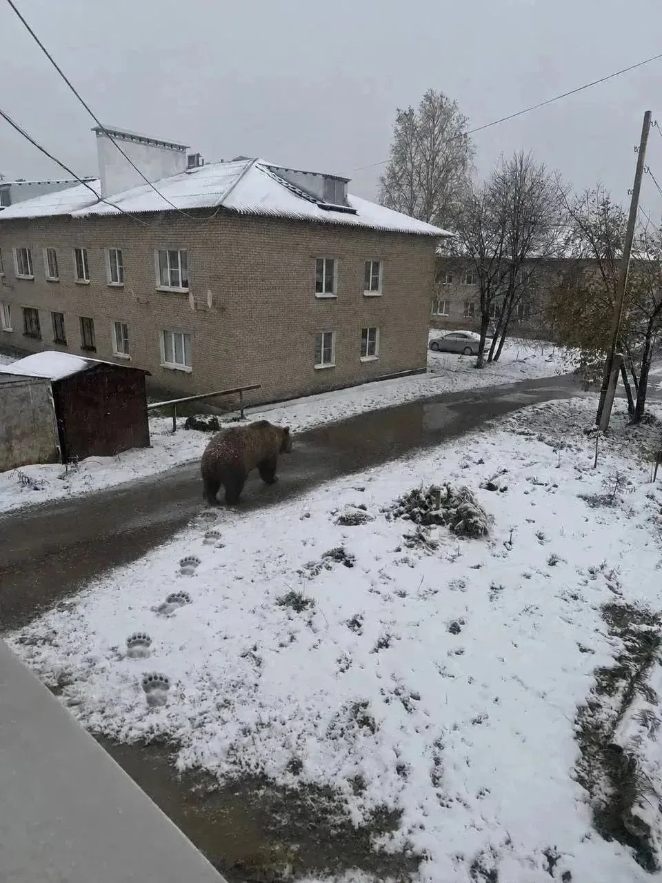 Жители Сосновки сообщают об отсутствии воды и электричества в поселке на протяжении дву...