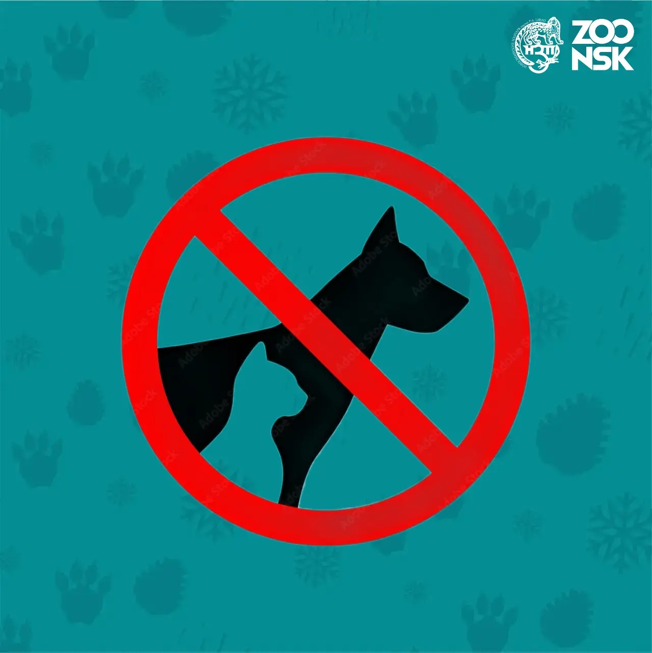 Друзья! 🐾 

Важно: вход в зоопарк с домашними животными — строго воспрещён. 🚫🐶🐱

Это правило — р