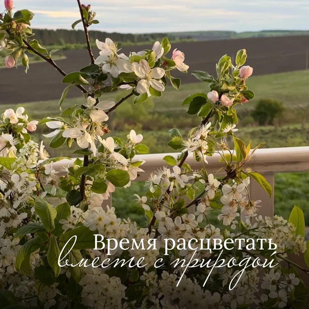 🌿 Первомай в «Сотах и Варенье»: время расцветать вместе с природой

Май — это месяц, когда жизнь в 