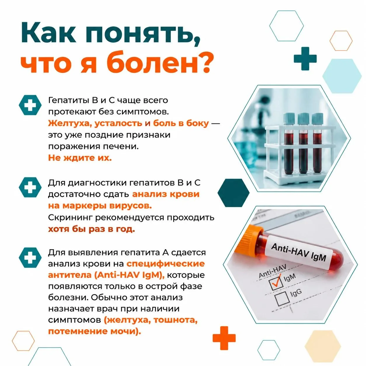 🦠 Гепатит — одно из самых распространённых заболеваний печени