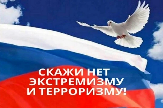 В Шуварской сельской библиотеке прошел познавательный час «Мы говорим террору «Нет!». Э...