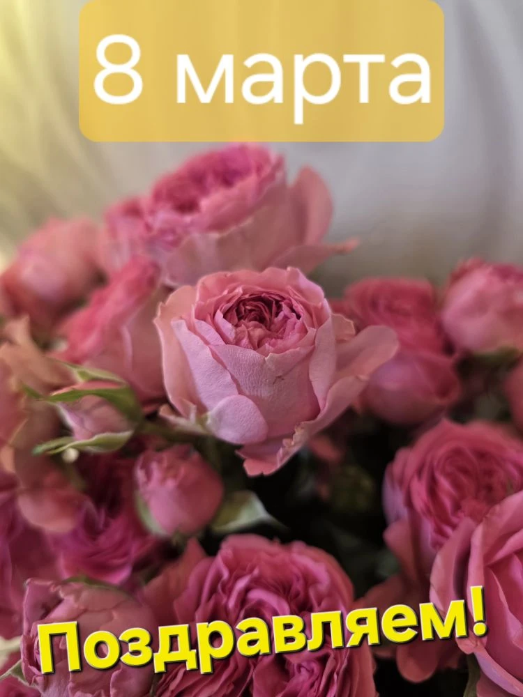 Дорогие наши Девочки! Девушки! Женщины!