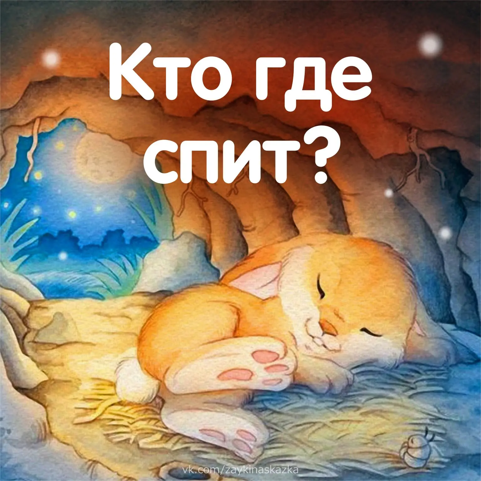 КТО ГДЕ СПИТ? ✨🌛

Спит зайчонок под кустом,
Лягушонок — под листом,
А бельчонок спит в дупле,
Червя