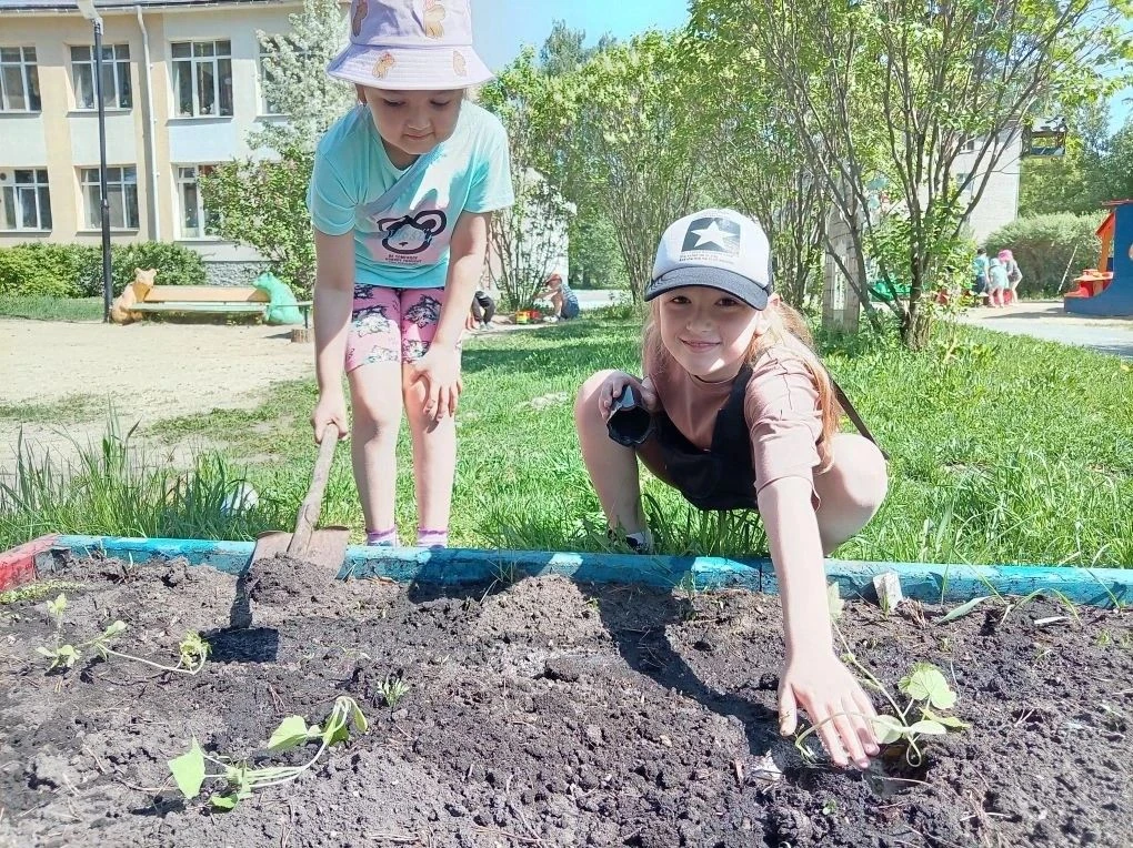 Огород на окне 4 группа