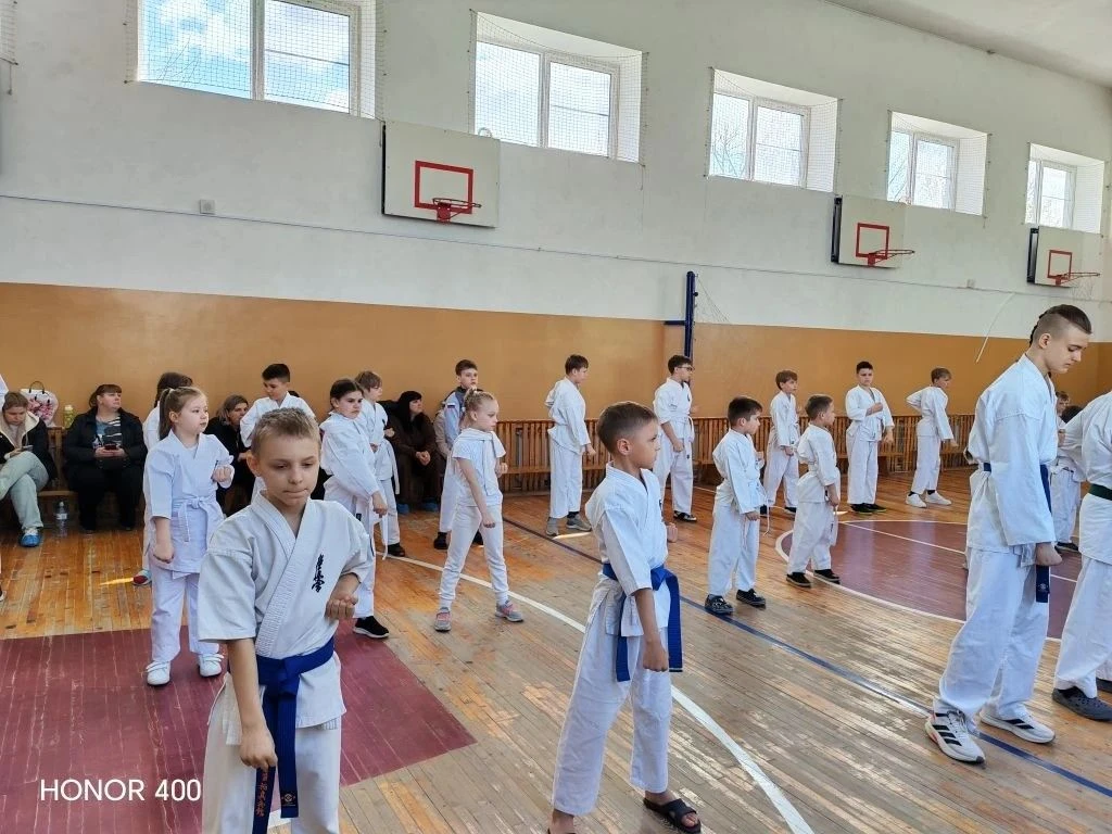 25 апреля в Миллерово прошла аттестация каратистов на пояса под руководством президента...