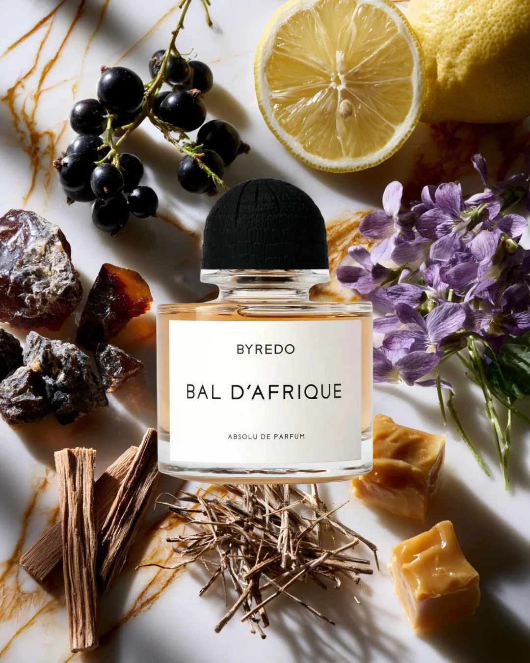 🌼 BAL D'AFRIQUE ABSOLU · BYREDO