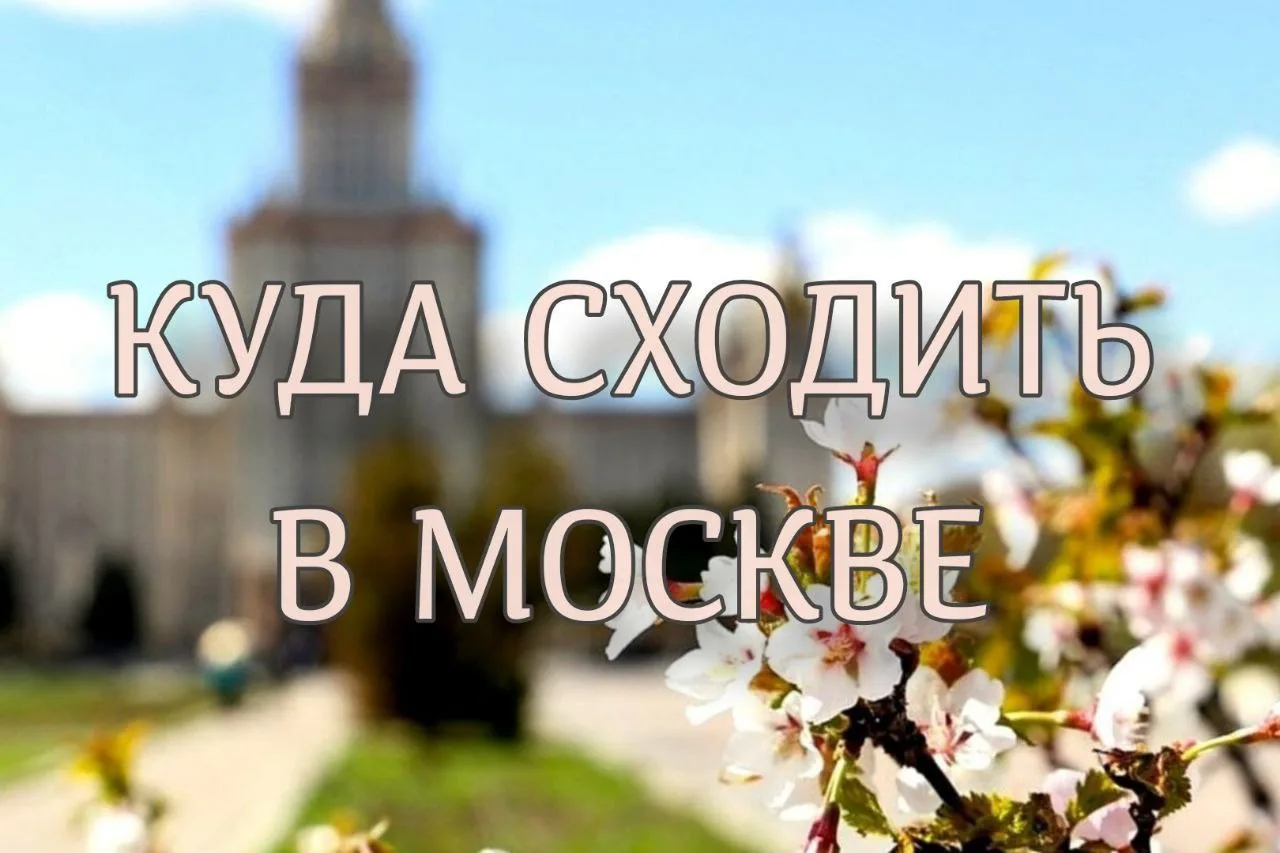 🗓 Куда сходить в Москве в эти выходные