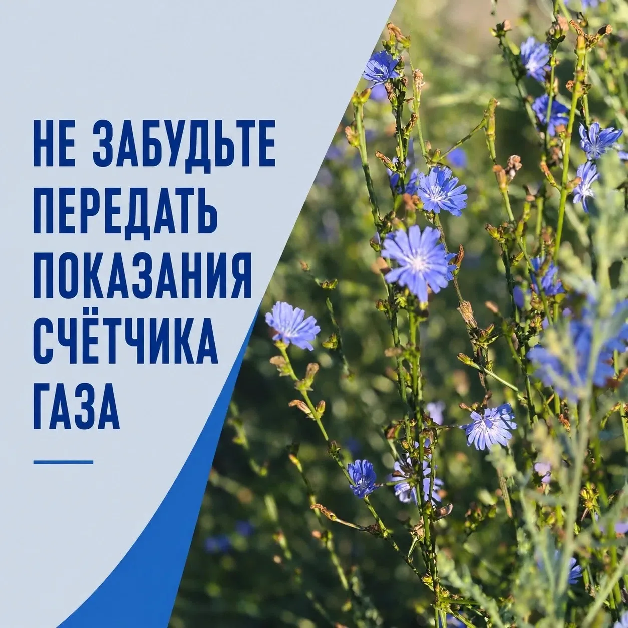 Удобнее это сделать онлайн: