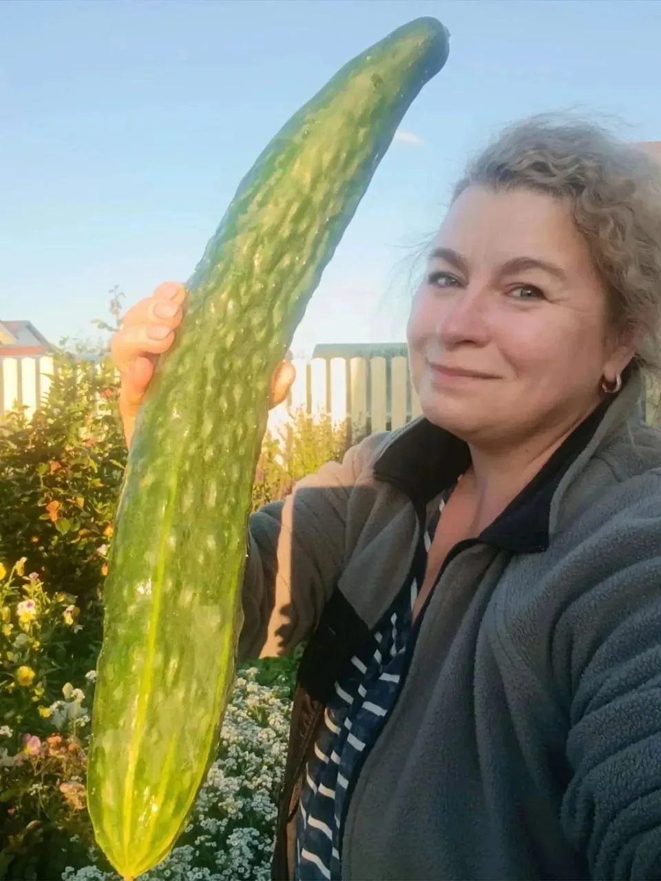 🥒 Жительница Чайковского Ольга Килина вырастила огурец весом полтора килограмма — женщ...
