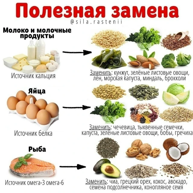 ПОЛЕЗНАЯ ЗАМЕНА ПРИВЫЧНЫМ ПРОДУКТАМ