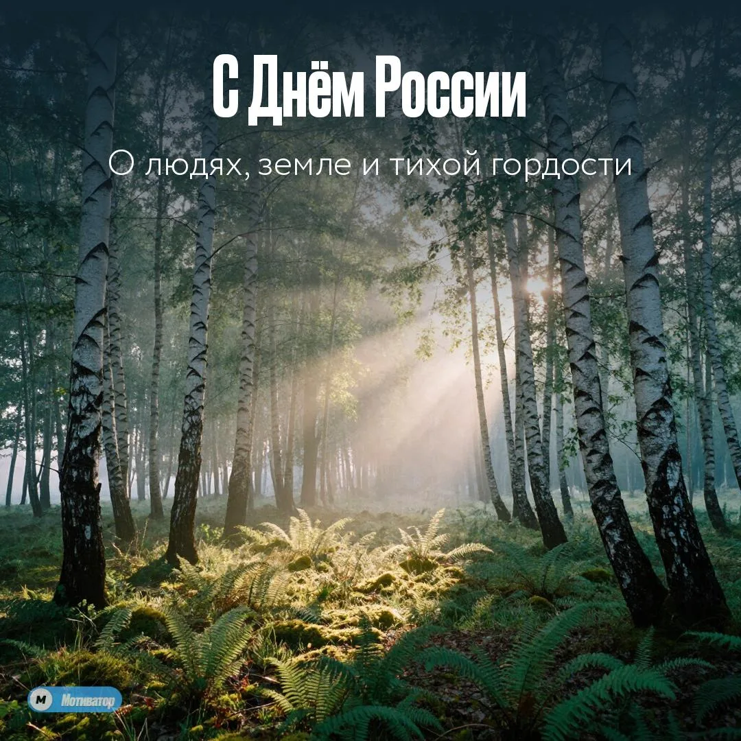 С Днём России! 🇷🇺

Сегодня хороший повод вспомнить: мы живём в огромной, красивой и сложной стране