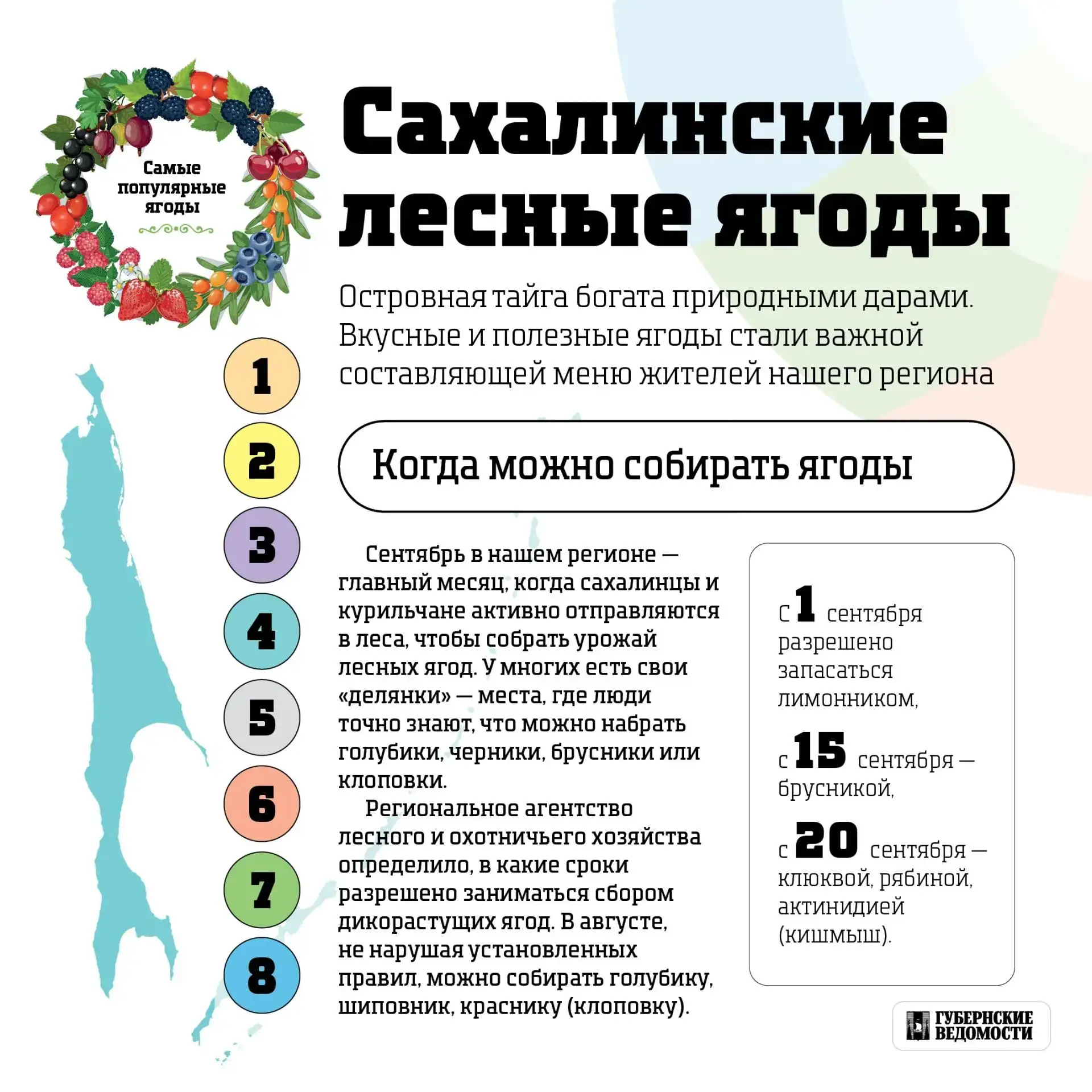 🫐 Когда сахалинцам можно собирать ягоды?