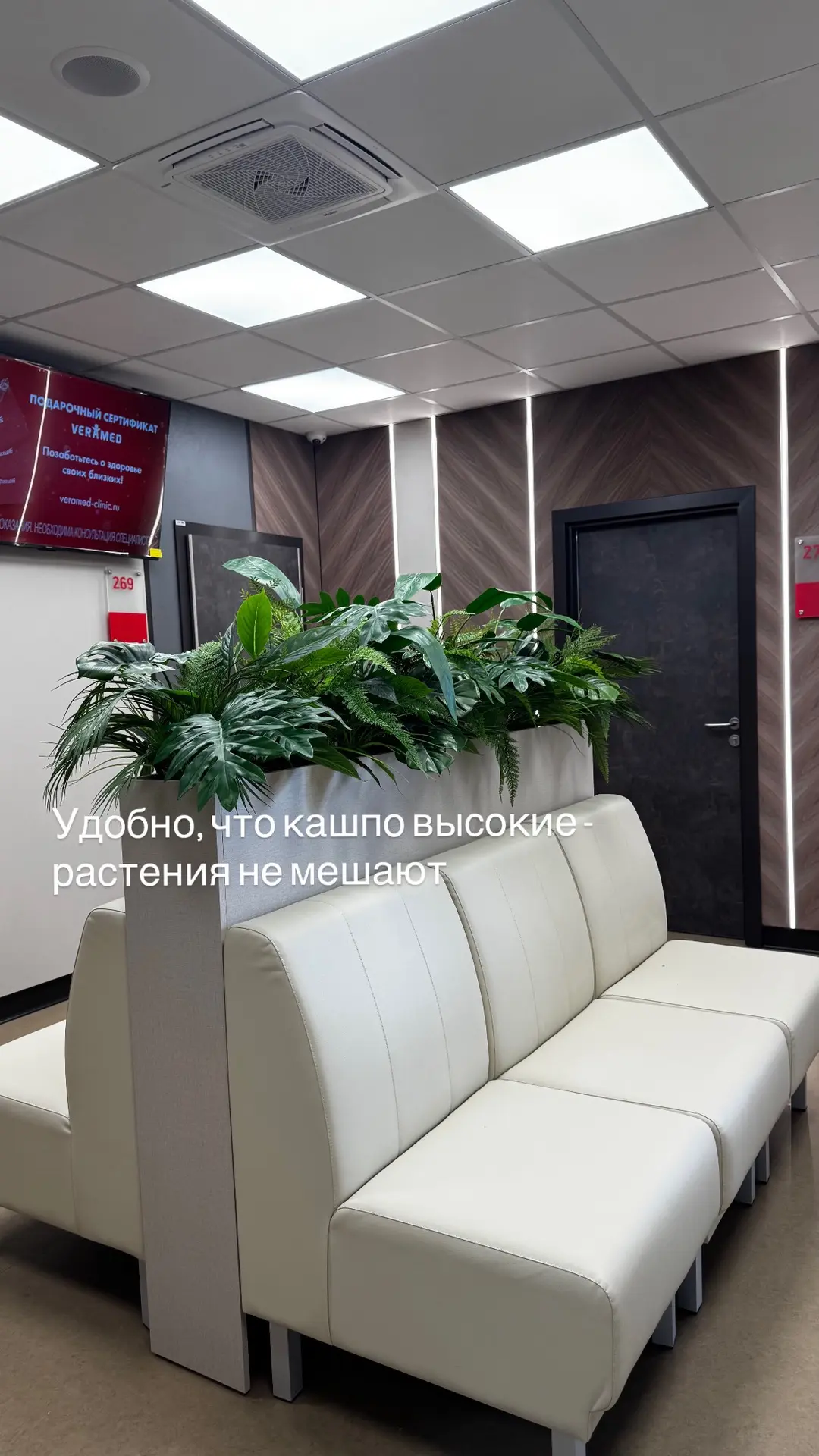 Почему одни искусственные растения выглядят дорого, а другие — дёшево и «колхозно»?