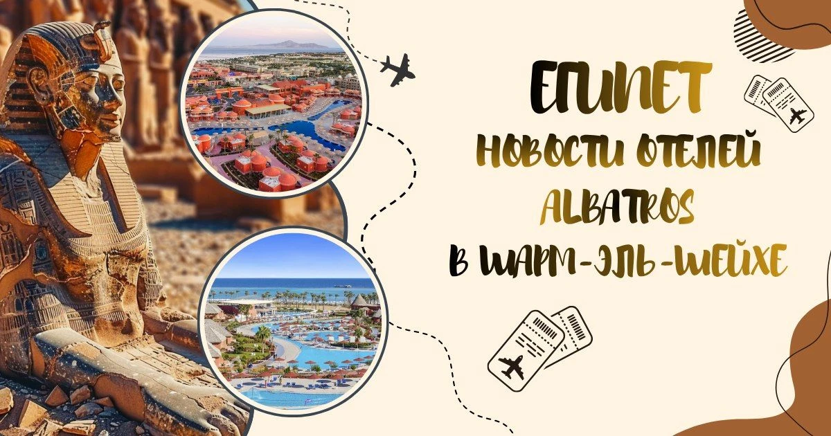 🌅 Традиционная подборка от наших экспертов 

🇾🇪 НОВОСТИ ОТЕЛЕЙ ALBATROS В ШАРМ-ЭЛЬ-ШЕЙХЕ 
Делимся