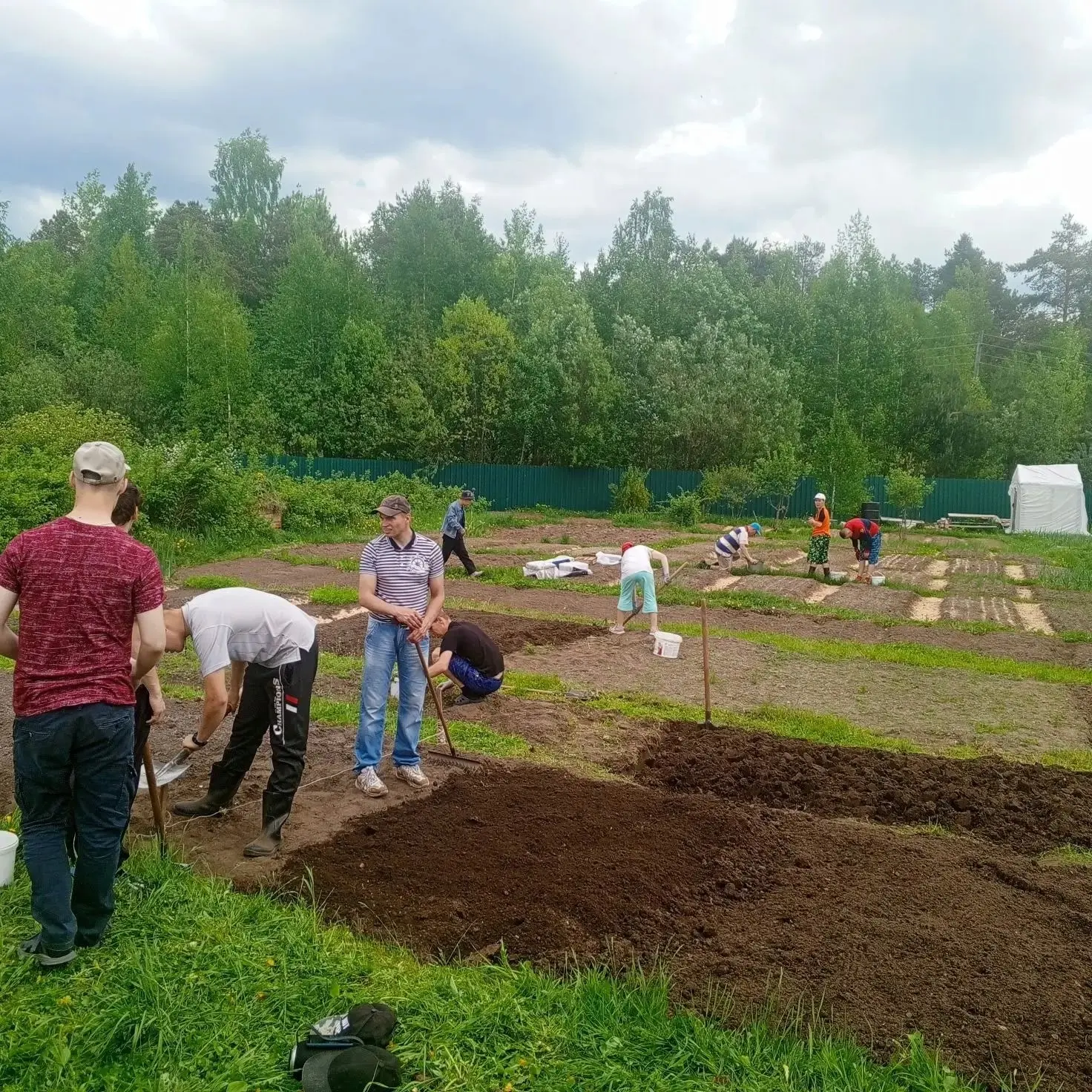 🌱 Проект «Урожайные грядки» в действии!

Знаете, откуда берутся огурцы на столе? А как вырастить ук