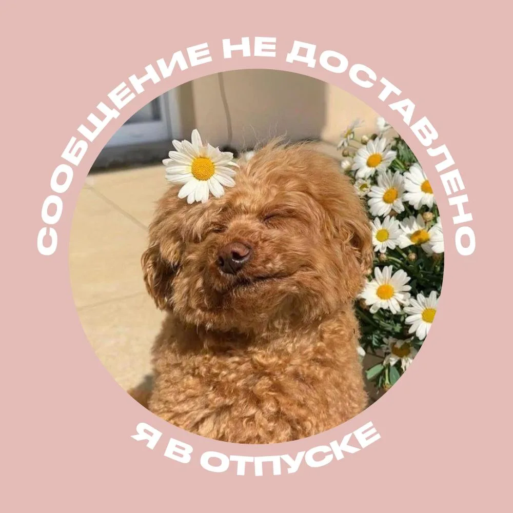 В режиме «не беспокоить» 😴