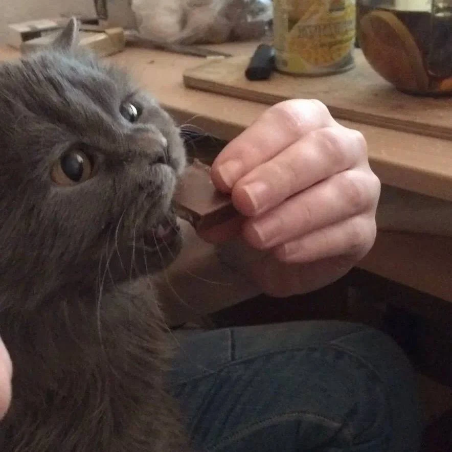 🍫 Всемирный день шоколада отмечается сегодня.